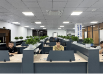 Company environment 11